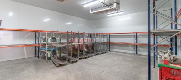 451m² Warehouse in Albolote, Spain No. 181378 22