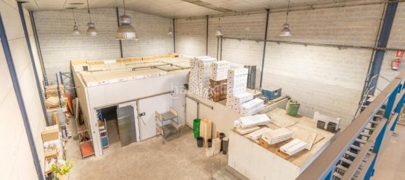 451m² Warehouse in Albolote, Spain No. 181378 31