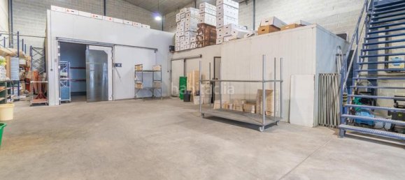 451m² Warehouse in Albolote, Spain No. 181378 14