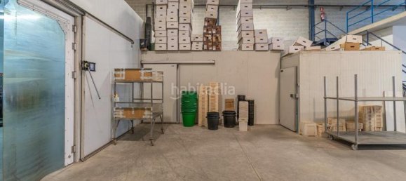 451m² Warehouse in Albolote, Spain No. 181378 15
