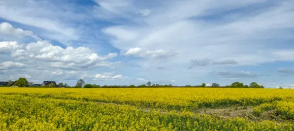 2-Zimmer Wohnung in Herzogtum Lauenburg, Germany, Nr. 243613 5