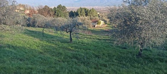 Terrain à Quarrata, Italy No. 319757 11