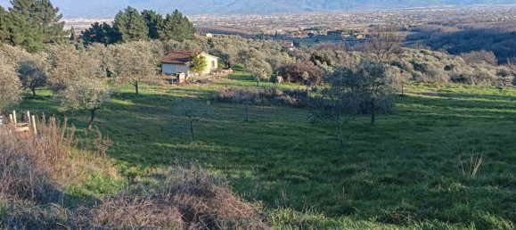 Terrain à Quarrata, Italy No. 319757 12