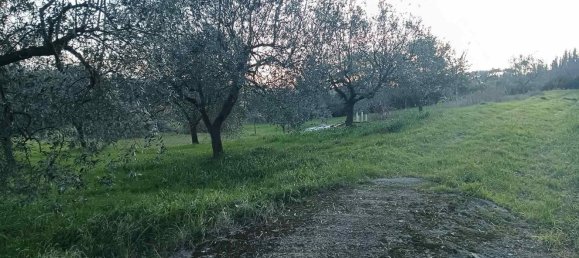 Terrain à Quarrata, Italy No. 319757 8