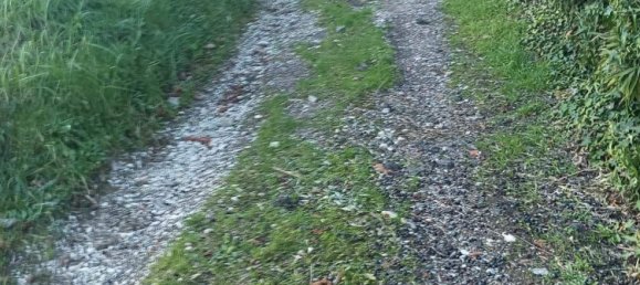 Terrain à Quarrata, Italy No. 319757 7