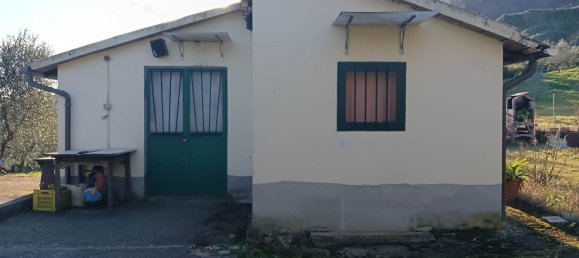 Terrain à Quarrata, Italy No. 319757 3