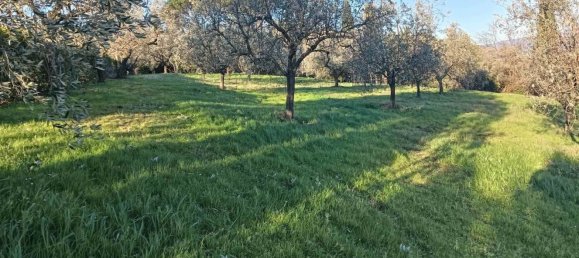Terrain à Quarrata, Italy No. 319757 9