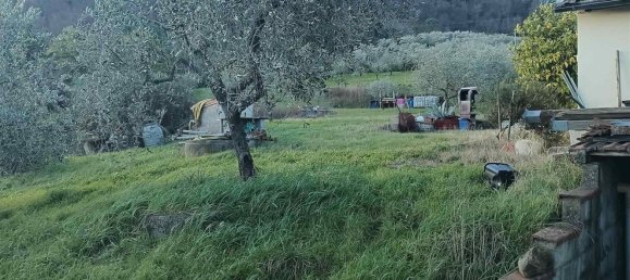 Terrain à Quarrata, Italy No. 319757 6