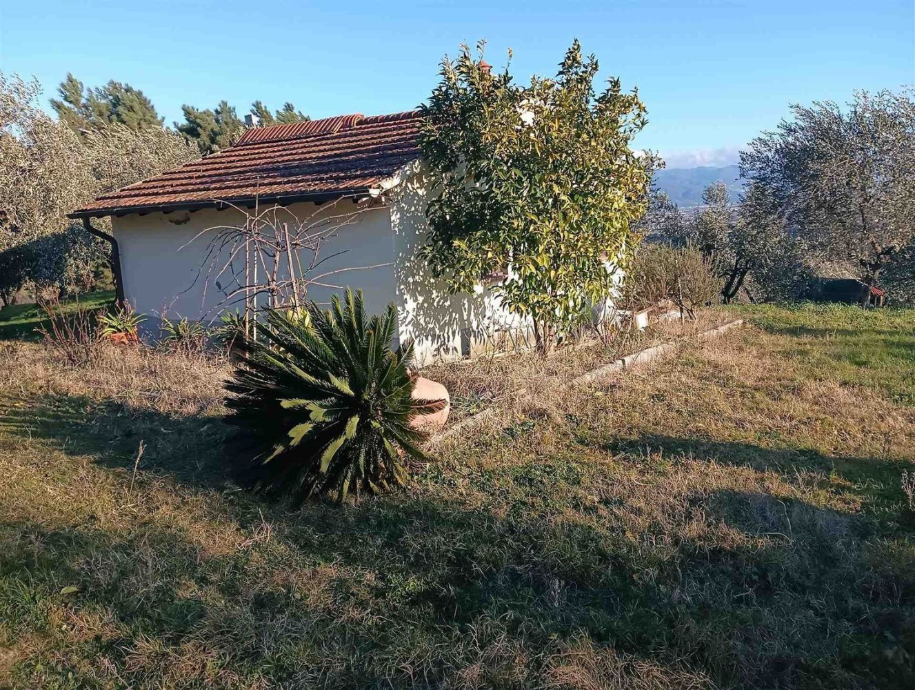 Terrain à Quarrata, Italy No. 319757