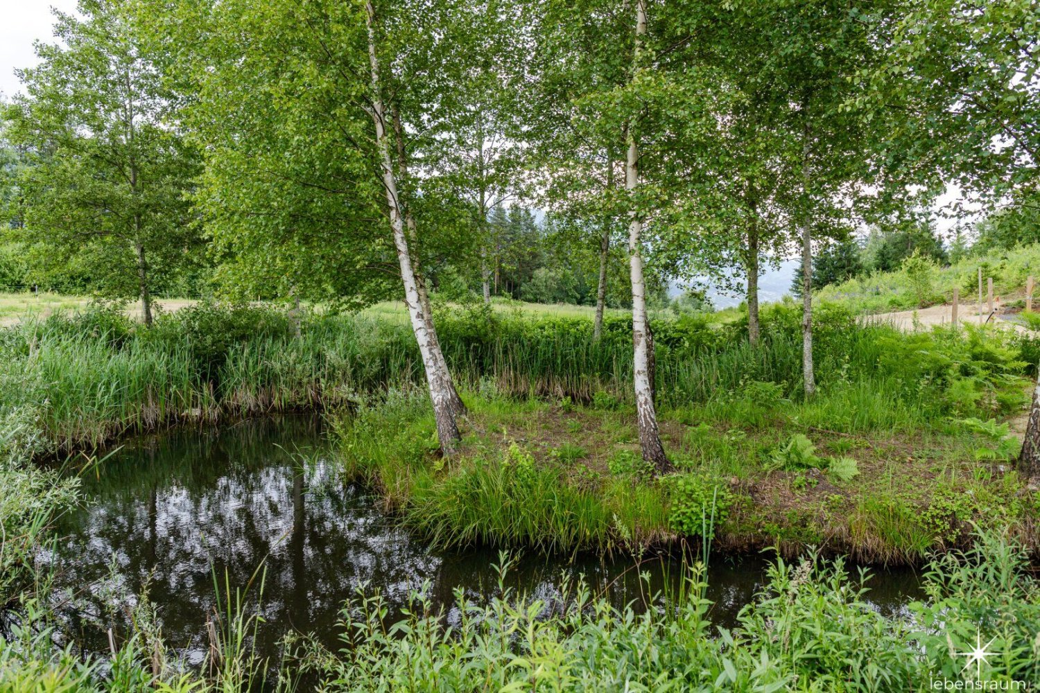 Grundstück in Seeboden am Millstätter See, Austria, Nr. 128802