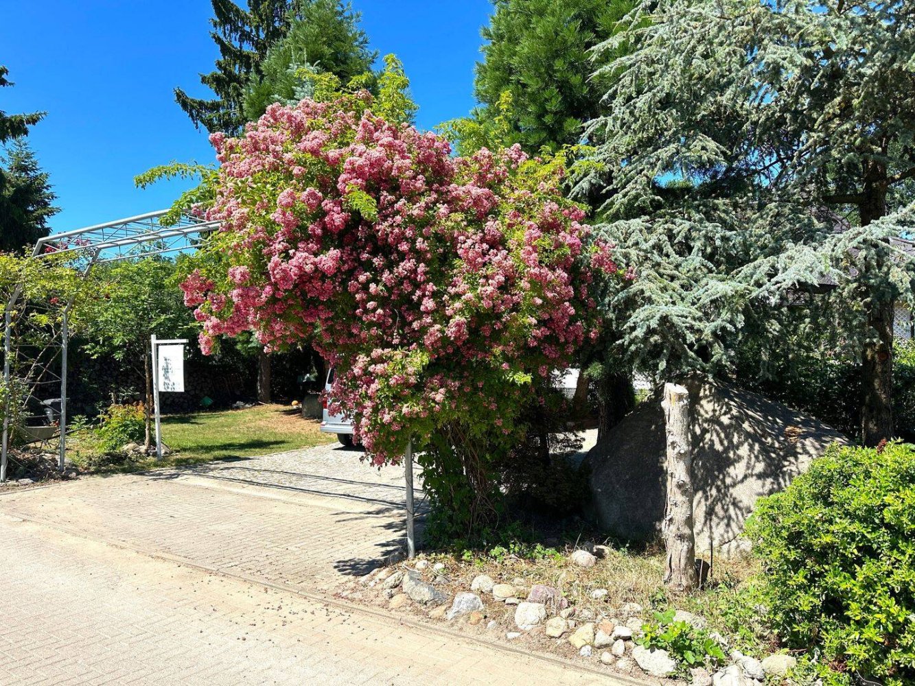 7 rooms House in Mecklenburgische Seenplatte, Germany No. 263947