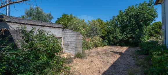3 Schlafzimmer Haus in Mortagua, Portugal, Nr. 332876 14