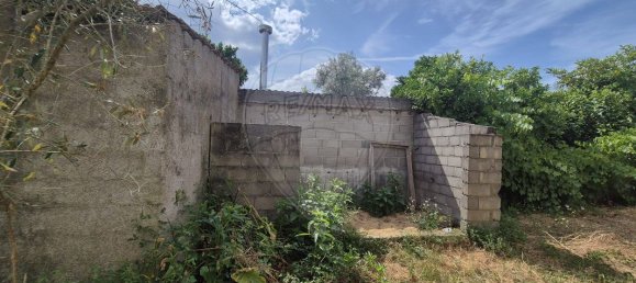 3 Schlafzimmer Haus in Mortagua, Portugal, Nr. 332876 13