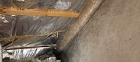 3 غرف نوم تاون هاوس في Vorpommern-Rugen, Germany رقم 182930 15