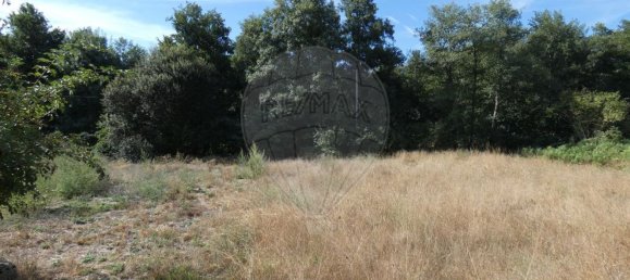 3 غرف نوم منزل في Tarouca, Portugal رقم 157267 9