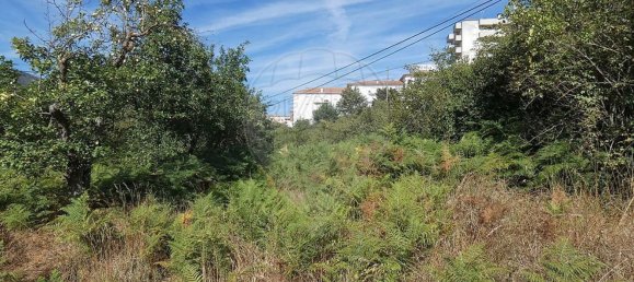 3 غرف نوم منزل في Tarouca, Portugal رقم 157267 10