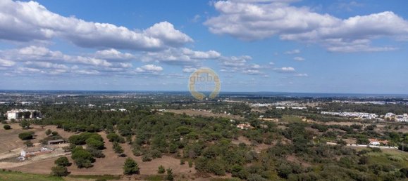 7 bedrooms House in Palmela, Portugal No. 144573 28