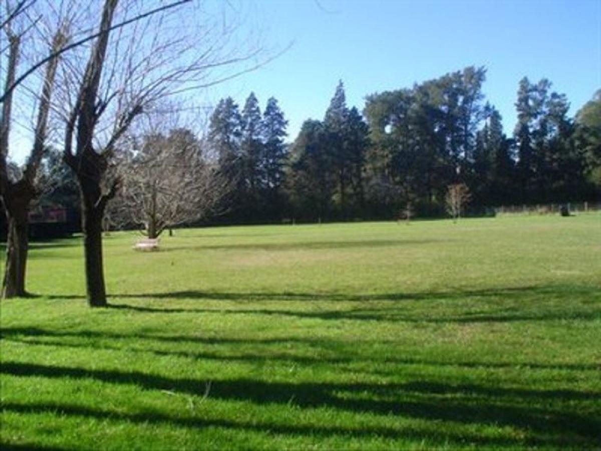 Terrain à Pilar, Argentina No. 33015