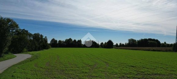 12996m² Land in Sandrigo, Italy No. 341416 4