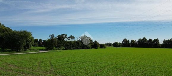 12996m² Land in Sandrigo, Italy No. 341416 3