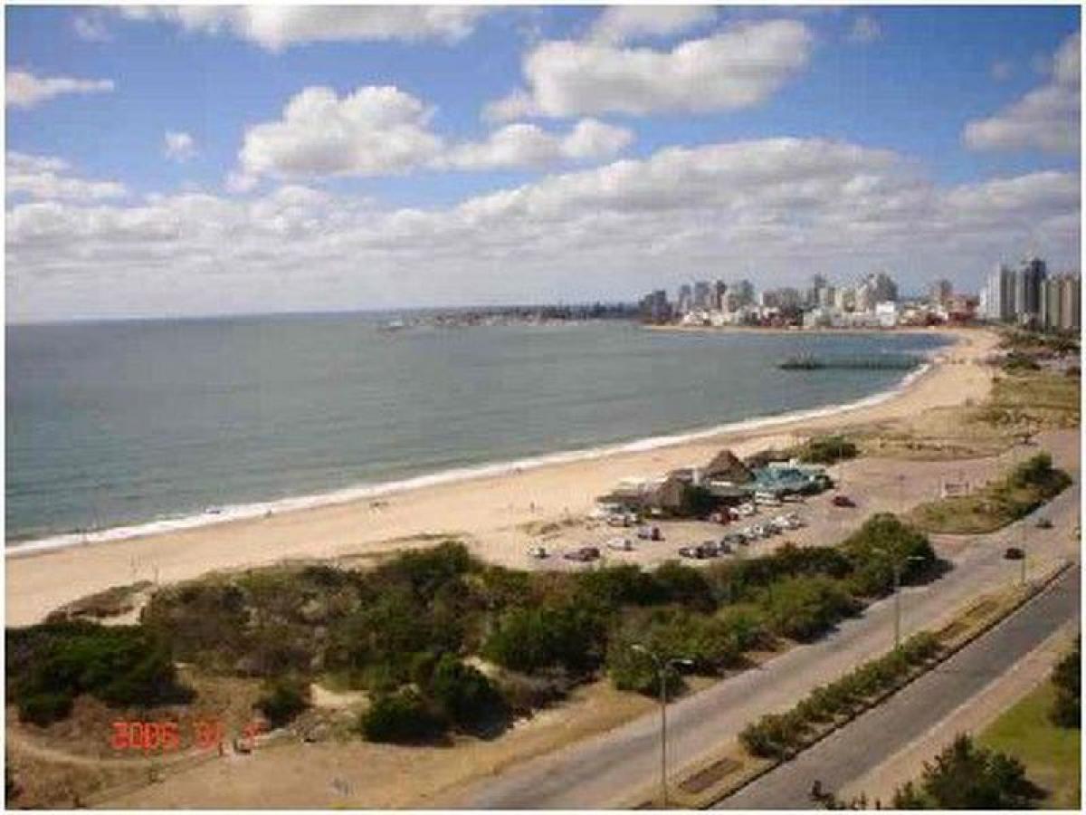 3 chambres Maison à Maldonado, Uruguay No. 8850