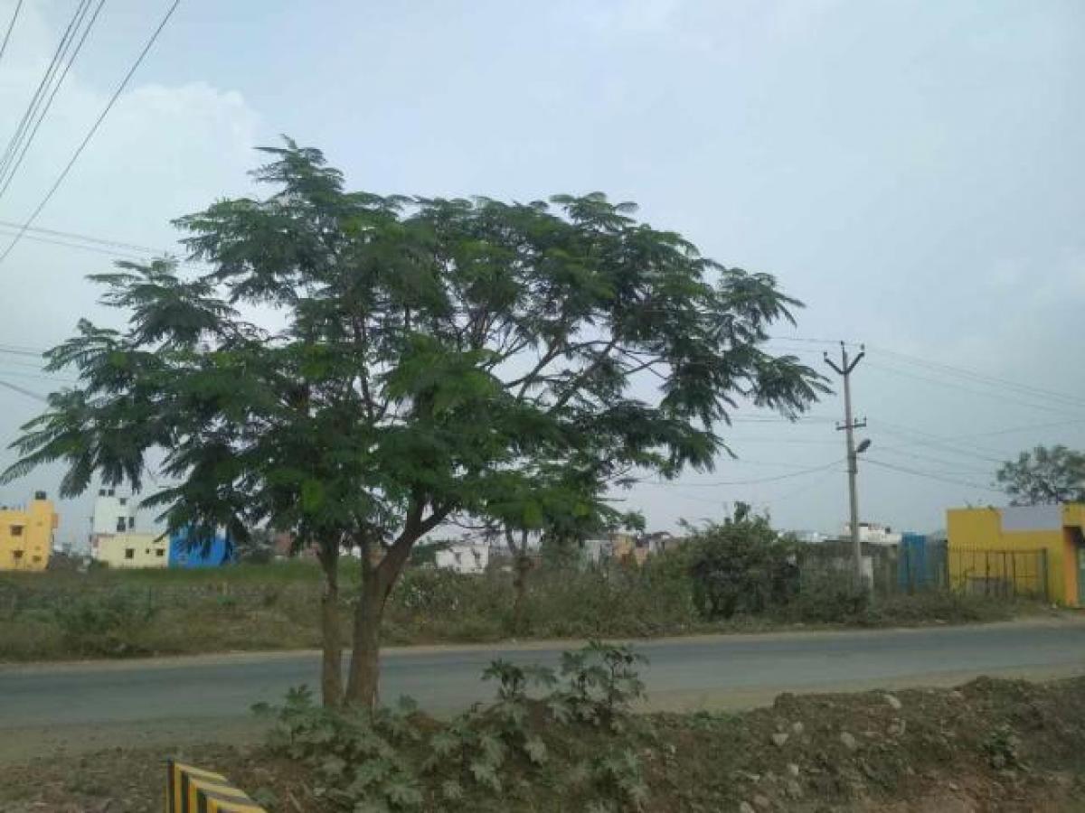  Land in Chennai, India No. 34464