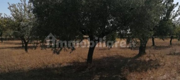 Villa de 2 divisões em San Giovanni Rotondo, Italy N.º 86011 33