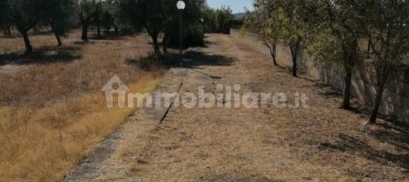 Villa de 2 divisões em San Giovanni Rotondo, Italy N.º 86011 34