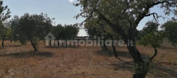 Villa de 2 divisões em San Giovanni Rotondo, Italy N.º 86011 31