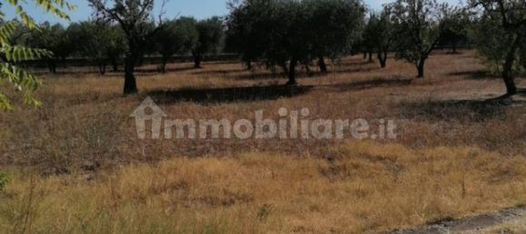 Villa de 2 divisões em San Giovanni Rotondo, Italy N.º 86011 32