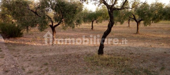 Villa de 2 divisões em San Giovanni Rotondo, Italy N.º 86011 38