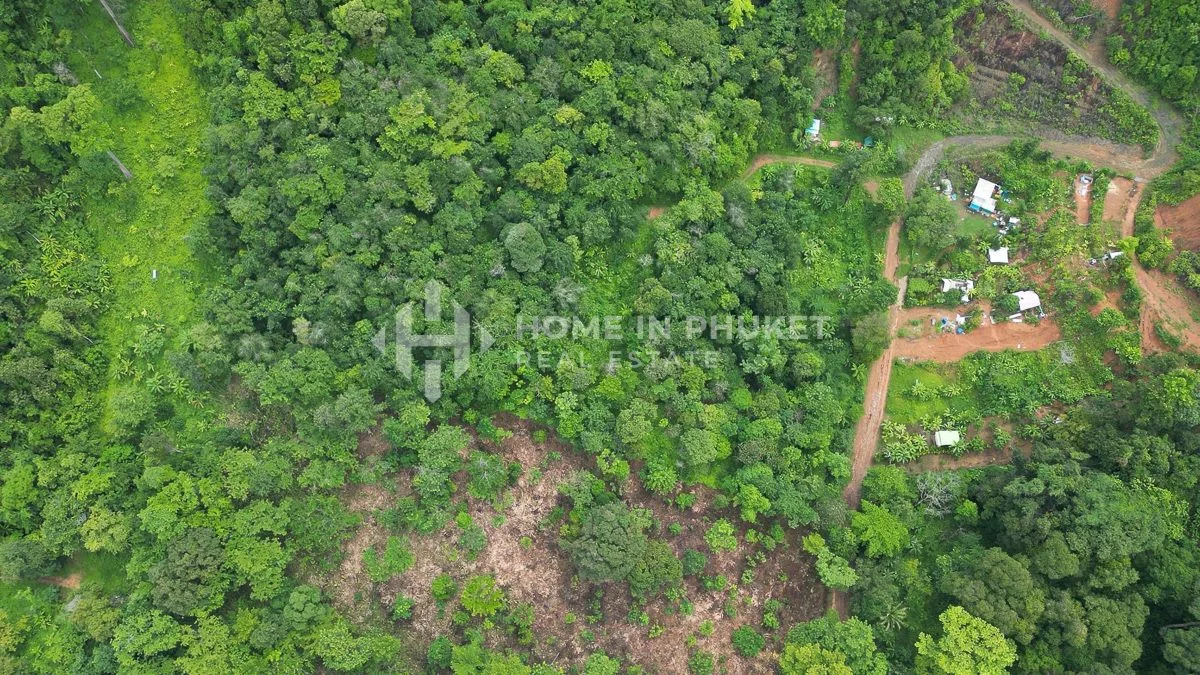  قطعة أرض في Ban Ratsada, Thailand رقم 61275