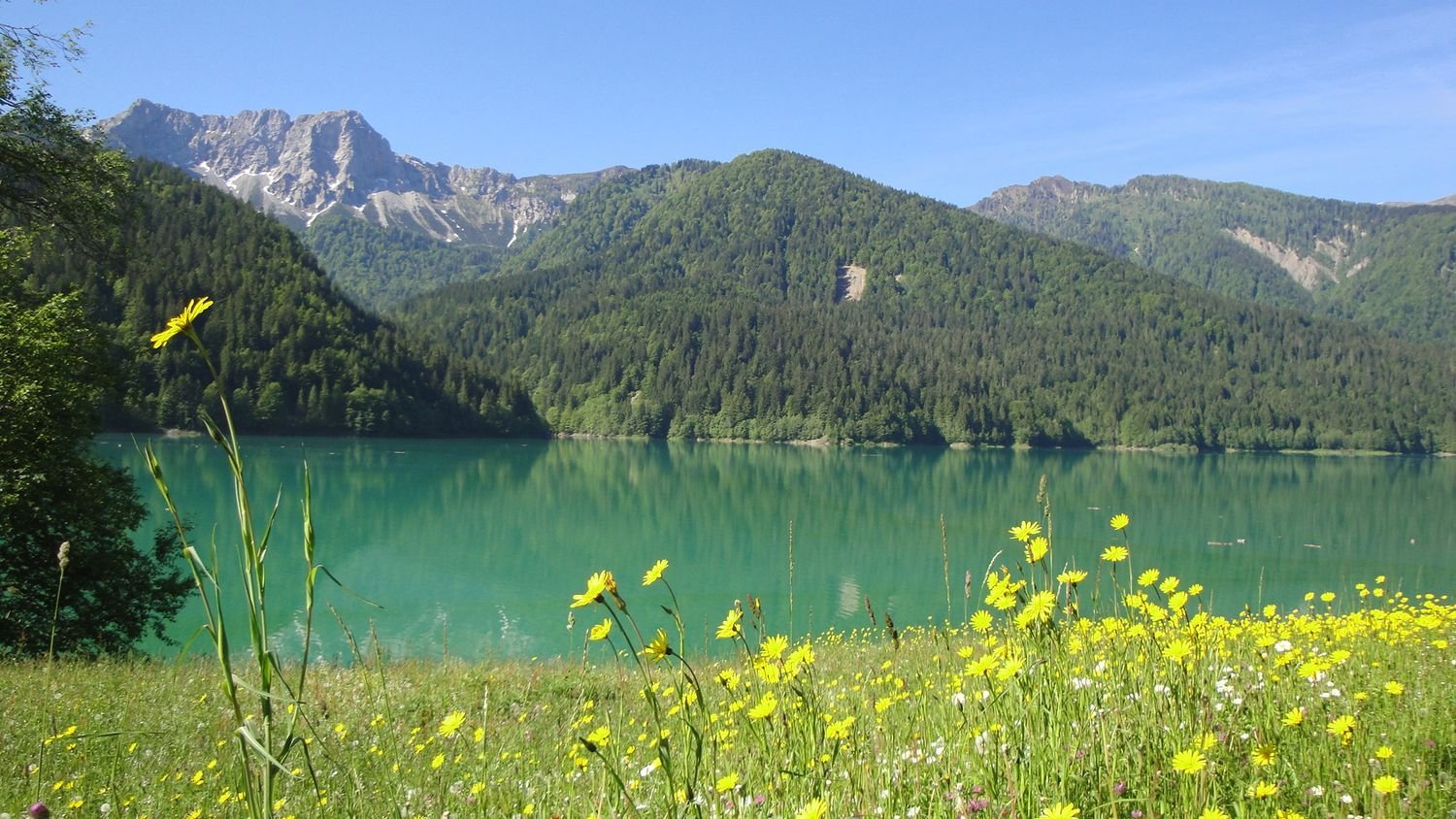 Gebäude in Udine, Italy 880m², Nr. 213931