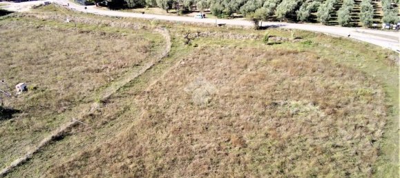 Terrain à Vieste, Italy 23500m² No. 153863 12