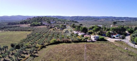 Terrain à Vieste, Italy 23500m² No. 153863 10