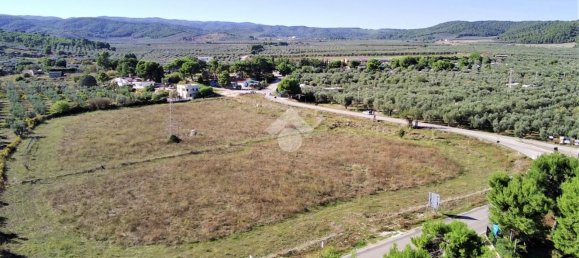 Terrain à Vieste, Italy 23500m² No. 153863 11