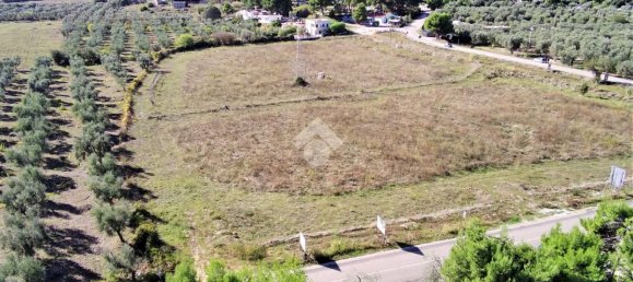 Terrain à Vieste, Italy 23500m² No. 153863 16