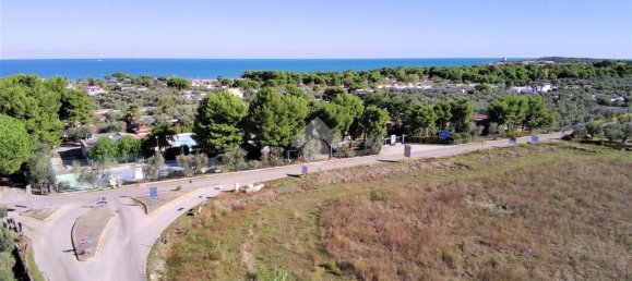 Terrain à Vieste, Italy 23500m² No. 153863 6