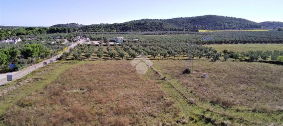 Terrain à Vieste, Italy 23500m² No. 153863 13