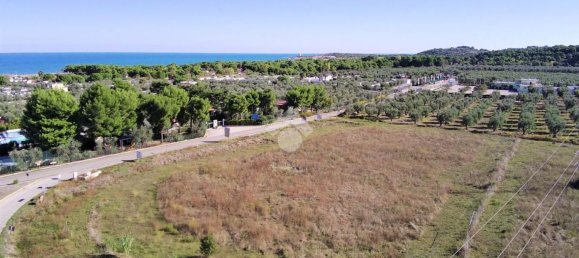 Terrain à Vieste, Italy 23500m² No. 153863 5