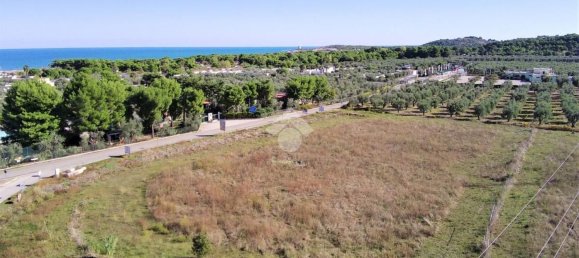 Terrain à Vieste, Italy 23500m² No. 153863 4