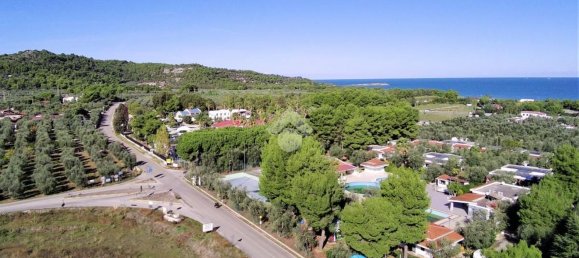 Terrain à Vieste, Italy 23500m² No. 153863 7