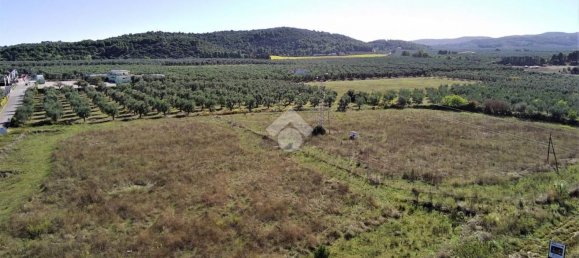 Terrain à Vieste, Italy 23500m² No. 153863 15