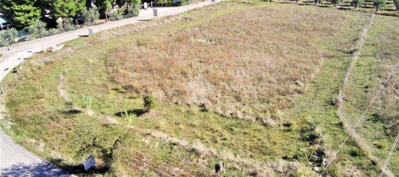 Terrain à Vieste, Italy 23500m² No. 153863 2