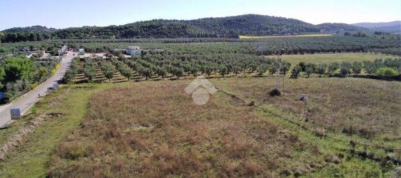 Terrain à Vieste, Italy 23500m² No. 153863 18