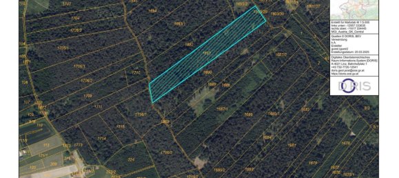 Terrain à Schalchen, Austria 33852m² No. 190416 5