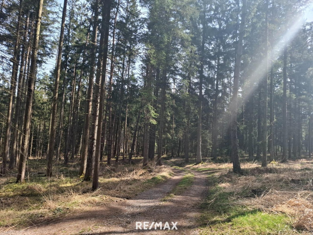 Terrain à Schalchen, Austria 33852m² No. 190416