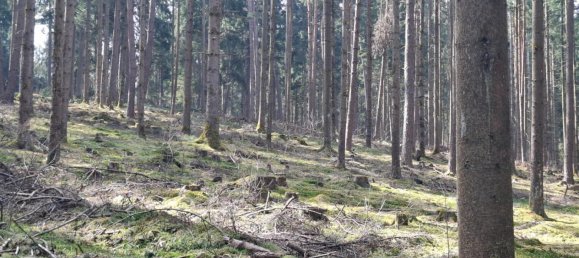 Terrain à Schalchen, Austria 33852m² No. 190416 4