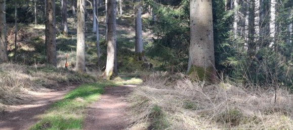 Terrain à Schalchen, Austria 33852m² No. 190416 2