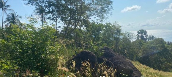 Imóvel comercial em Surat Thani, Thailand N.º 13368 8